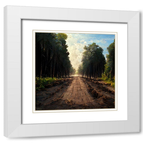 Road in the Woods 2 White Modern Wood Framed Art Print with Double Matting by Screendoor