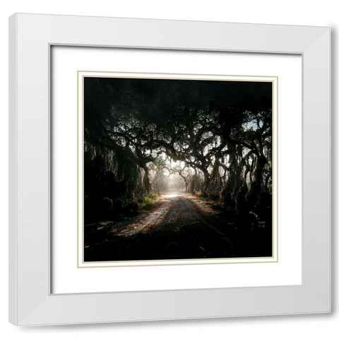 Road in the Woods 3 White Modern Wood Framed Art Print with Double Matting by Screendoor