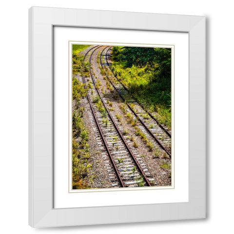 Saluda Tracks Curve  White Modern Wood Framed Art Print with Double Matting by Malone, Will