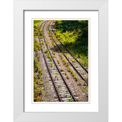 Saluda Tracks Curve  White Modern Wood Framed Art Print with Double Matting by Malone, Will