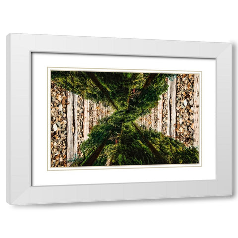 Saluda Tracks Upside Down White Modern Wood Framed Art Print with Double Matting by Malone, Will