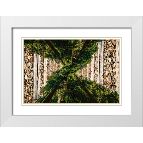 Saluda Tracks Upside Down White Modern Wood Framed Art Print with Double Matting by Malone, Will