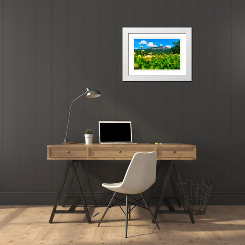 Table Rock Horizontal White Modern Wood Framed Art Print with Double Matting by Malone, Will