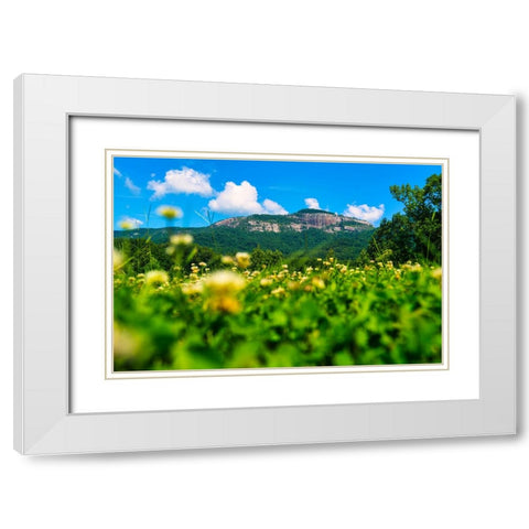 Table Rock Horizontal White Modern Wood Framed Art Print with Double Matting by Malone, Will
