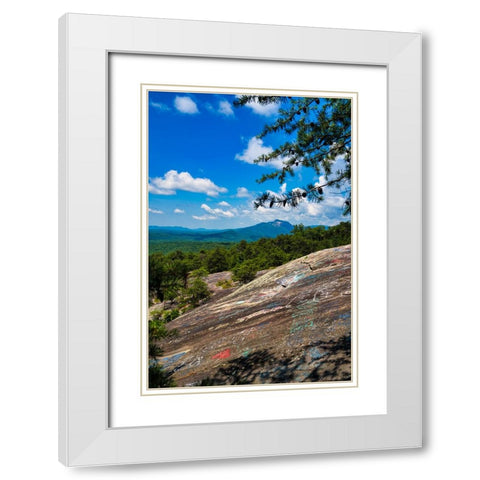 The Bald 2 White Modern Wood Framed Art Print with Double Matting by Malone, Will