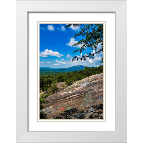 The Bald 2 White Modern Wood Framed Art Print with Double Matting by Malone, Will