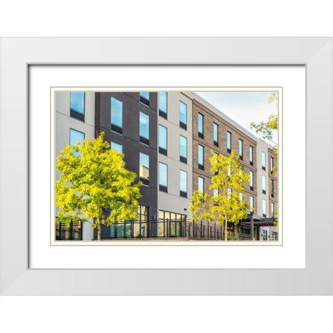 Window 3 White Modern Wood Framed Art Print with Double Matting by Malone, Will