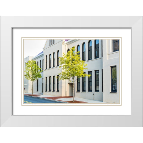 Window 4 White Modern Wood Framed Art Print with Double Matting by Malone, Will