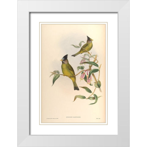 Spizixos Canifrons White Modern Wood Framed Art Print with Double Matting by CAG