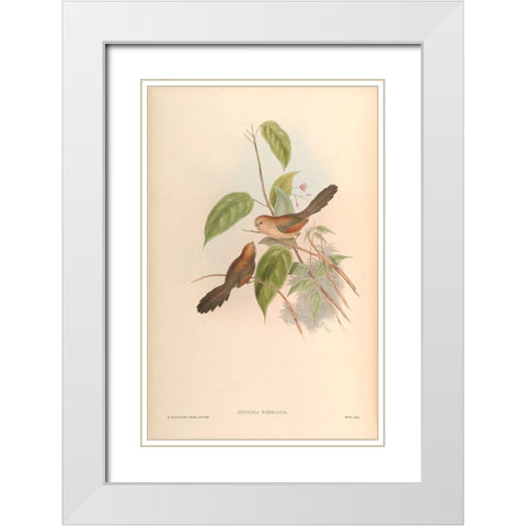 Suthora Webbiana White Modern Wood Framed Art Print with Double Matting by CAG