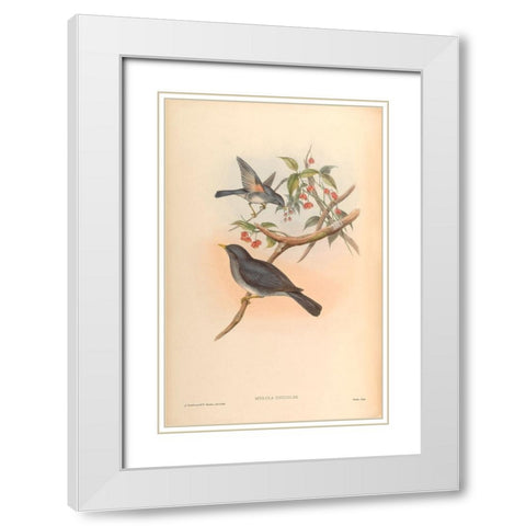 Merula Unicolor White Modern Wood Framed Art Print with Double Matting by CAG