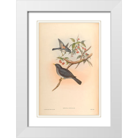 Merula Unicolor White Modern Wood Framed Art Print with Double Matting by CAG