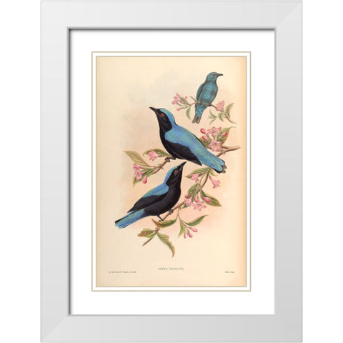 Irena Criniger White Modern Wood Framed Art Print with Double Matting by CAG