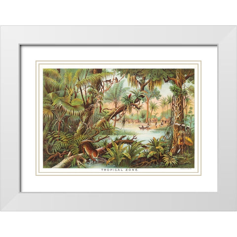Tropical Zone - 1893 White Modern Wood Framed Art Print with Double Matting by Yaggy, Levi Walter