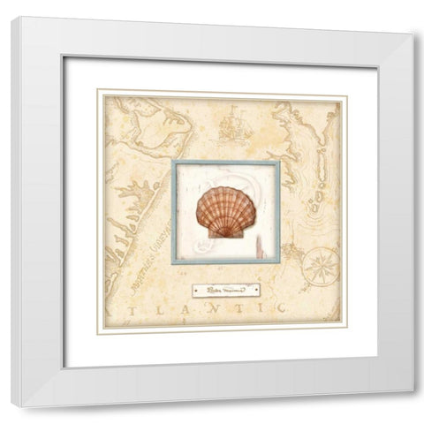 Sea Treasure II White Modern Wood Framed Art Print with Double Matting by Audrey, Charlene