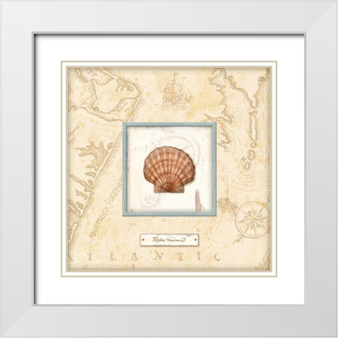 Sea Treasure II White Modern Wood Framed Art Print with Double Matting by Audrey, Charlene