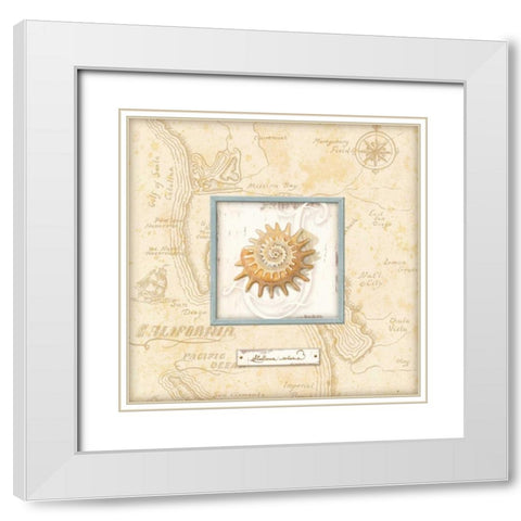 Sea Treasure III White Modern Wood Framed Art Print with Double Matting by Audrey, Charlene