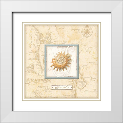 Sea Treasure III White Modern Wood Framed Art Print with Double Matting by Audrey, Charlene