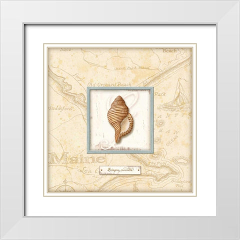 Sea Treasure IV White Modern Wood Framed Art Print with Double Matting by Audrey, Charlene