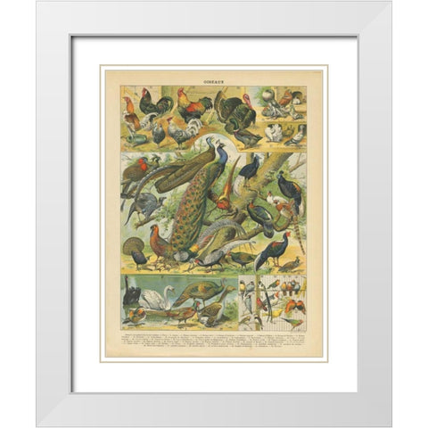 Oiseaux I White Modern Wood Framed Art Print with Double Matting by Babbitt, Gwendolyn