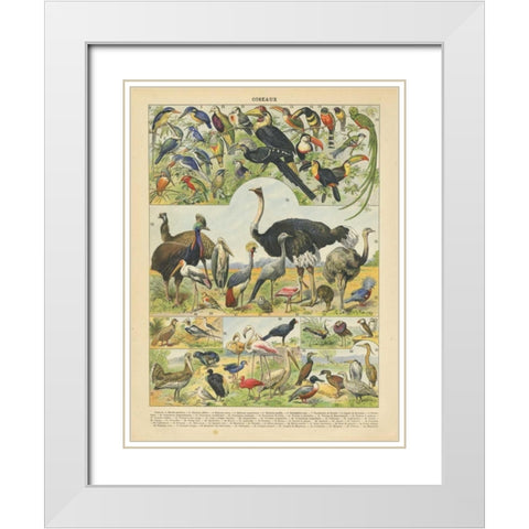 Oiseaux IV White Modern Wood Framed Art Print with Double Matting by Babbitt, Gwendolyn