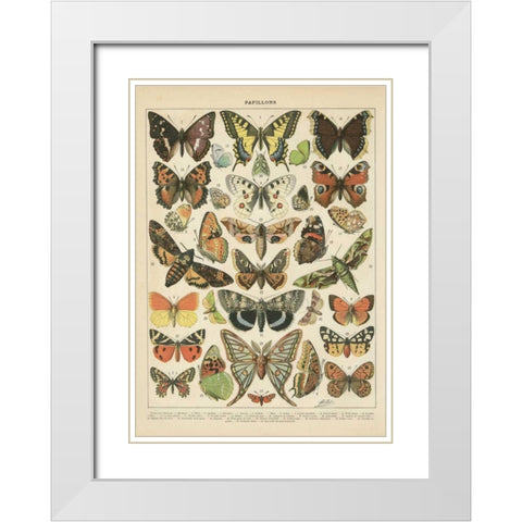 Papillons I White Modern Wood Framed Art Print with Double Matting by Babbitt, Gwendolyn