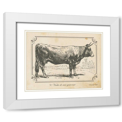 Farm Bull I White Modern Wood Framed Art Print with Double Matting by Babbitt, Gwendolyn