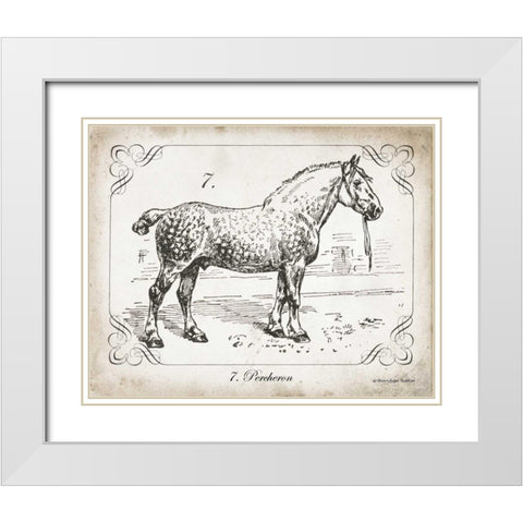 Farm Horse I White Modern Wood Framed Art Print with Double Matting by Babbitt, Gwendolyn