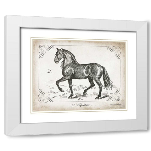 Farm Horse II White Modern Wood Framed Art Print with Double Matting by Babbitt, Gwendolyn