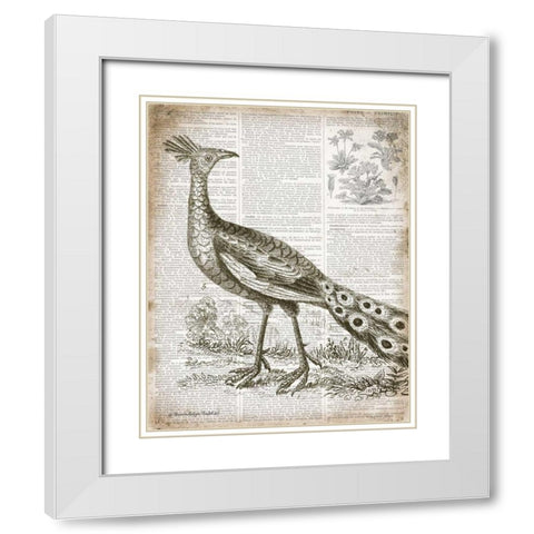 Vintage Bird I White Modern Wood Framed Art Print with Double Matting by Babbitt, Gwendolyn