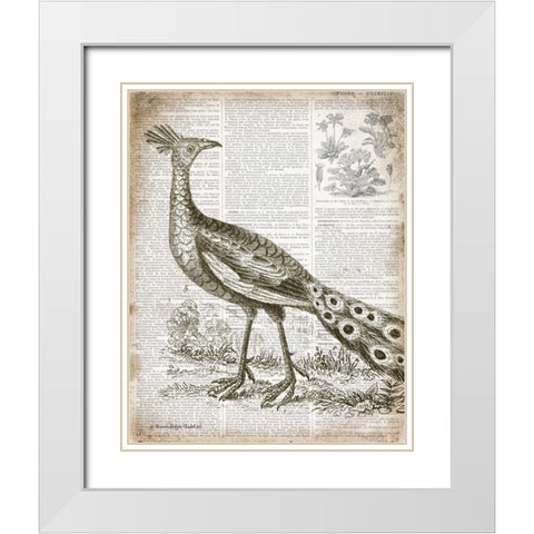 Vintage Bird I White Modern Wood Framed Art Print with Double Matting by Babbitt, Gwendolyn