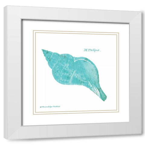 Shell on White V White Modern Wood Framed Art Print with Double Matting by Babbitt, Gwendolyn
