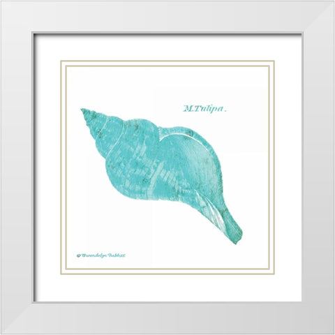 Shell on White V White Modern Wood Framed Art Print with Double Matting by Babbitt, Gwendolyn