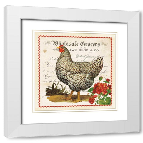 Geraniums and Hen White Modern Wood Framed Art Print with Double Matting by Babbitt, Gwendolyn