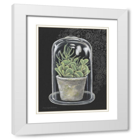 Succulent in Cloche I White Modern Wood Framed Art Print with Double Matting by Babbitt, Gwendolyn