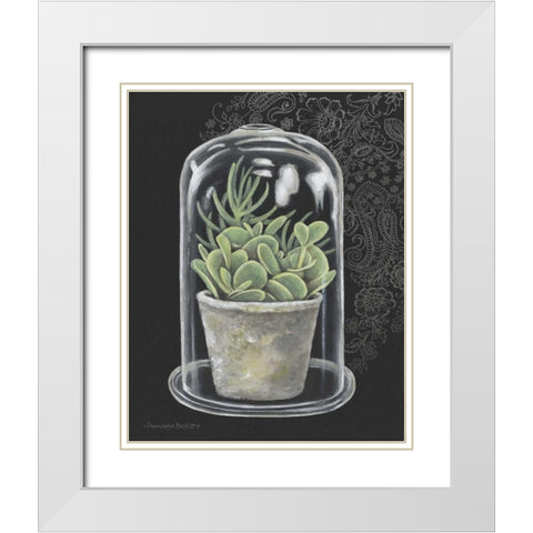 Succulent in Cloche I White Modern Wood Framed Art Print with Double Matting by Babbitt, Gwendolyn