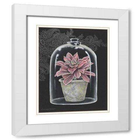 Succulent in Cloche III White Modern Wood Framed Art Print with Double Matting by Babbitt, Gwendolyn