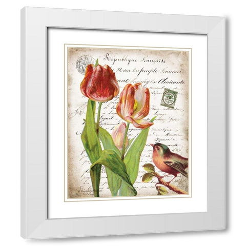 French Botanical II White Modern Wood Framed Art Print with Double Matting by Babbitt, Gwendolyn
