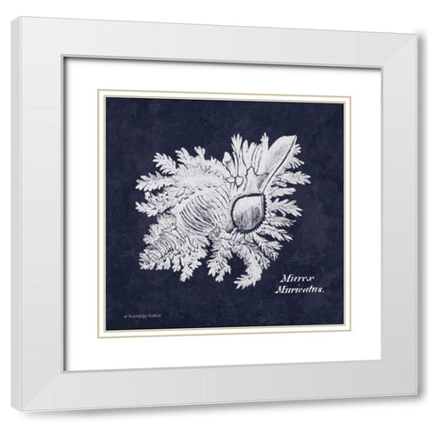 Indigo Shell I White Modern Wood Framed Art Print with Double Matting by Babbitt, Gwendolyn