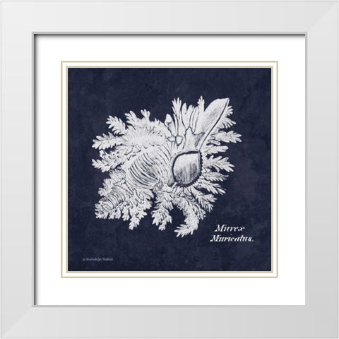 Indigo Shell I White Modern Wood Framed Art Print with Double Matting by Babbitt, Gwendolyn