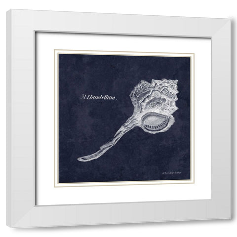 Indigo Shell II White Modern Wood Framed Art Print with Double Matting by Babbitt, Gwendolyn