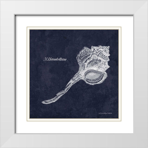 Indigo Shell II White Modern Wood Framed Art Print with Double Matting by Babbitt, Gwendolyn
