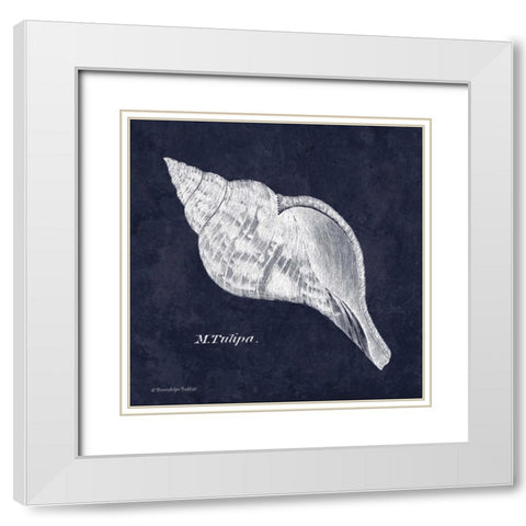 Indigo Shell III White Modern Wood Framed Art Print with Double Matting by Babbitt, Gwendolyn