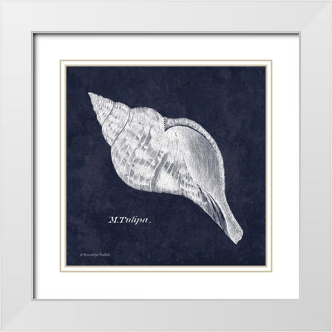 Indigo Shell III White Modern Wood Framed Art Print with Double Matting by Babbitt, Gwendolyn