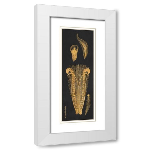 Gold Feathers I White Modern Wood Framed Art Print with Double Matting by Babbitt, Gwendolyn