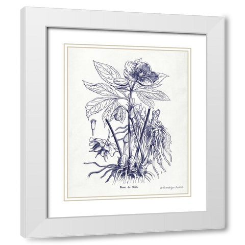 Indigo Botanical II White Modern Wood Framed Art Print with Double Matting by Babbitt, Gwendolyn