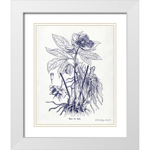 Indigo Botanical II White Modern Wood Framed Art Print with Double Matting by Babbitt, Gwendolyn