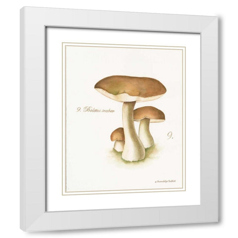 Mushroom II White Modern Wood Framed Art Print with Double Matting by Babbitt, Gwendolyn