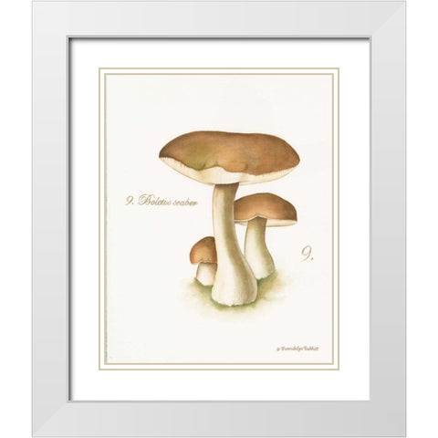 Mushroom II White Modern Wood Framed Art Print with Double Matting by Babbitt, Gwendolyn
