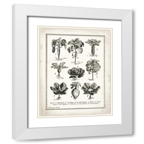 French Cabbage White Modern Wood Framed Art Print with Double Matting by Babbitt, Gwendolyn
